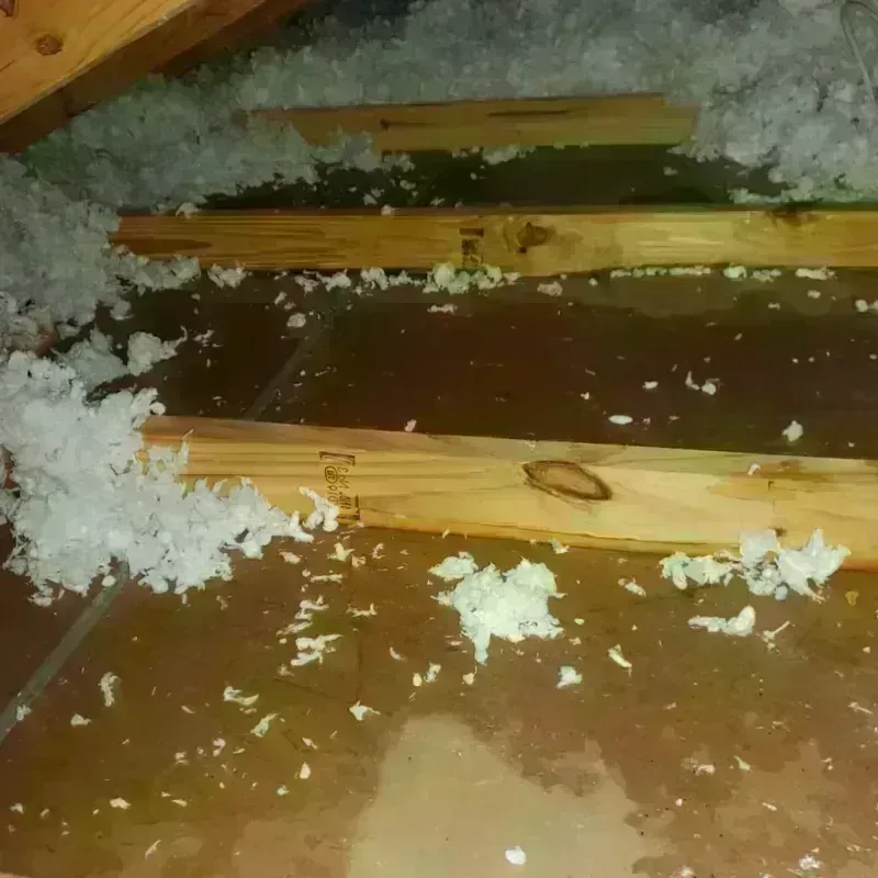 Attic Water Damage in Sparks, GA